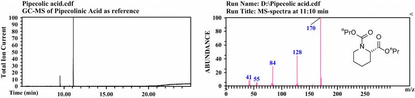 GC–MS run and mass spectrum of pipecolic acid