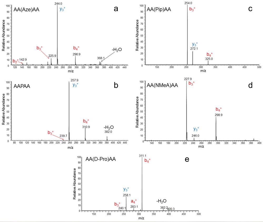 Product ion fragmentation spectrum for (a) AA(Aze)AA, (b) AAPAA, (c) AA(Pip)AA, (d) AA(NMeA)AA, and (e) AA(D-Pro)AA