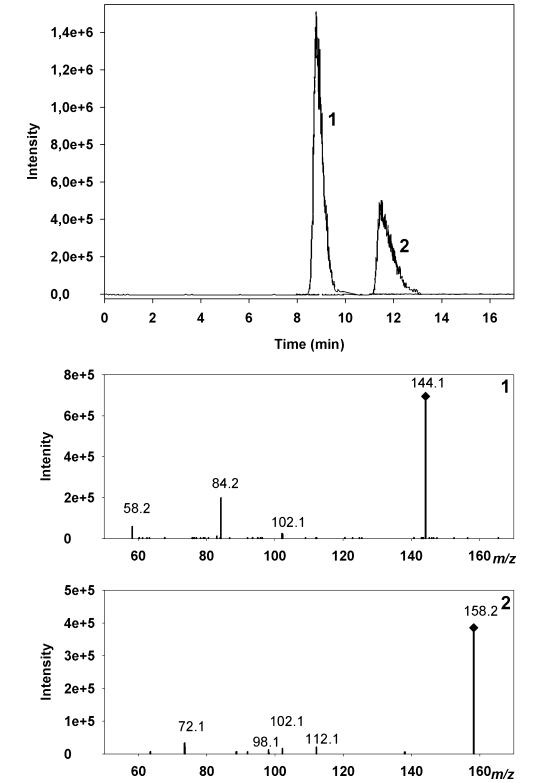 Extracted ion chromatograms of Medicago sativa leaf extract showing two peaks at MS/MS transitions 144.1→84.2 and 158.2→72.1 using HPLC-ESI-MS/MS.