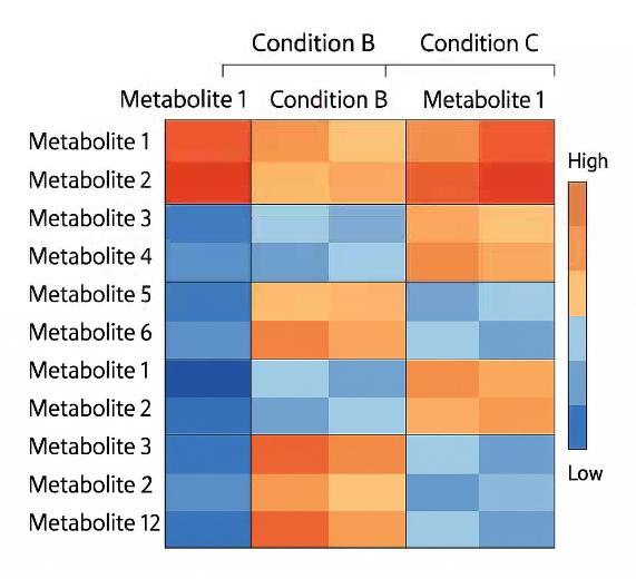 Color-coded heatmap showing metabolite levels across multiple experimental groups