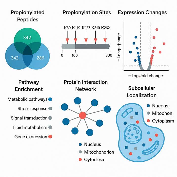 Demo results of Propionylation Analysis