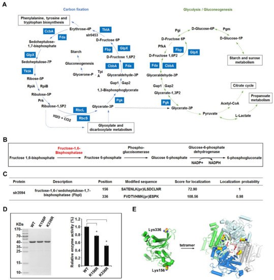Overview of the lysine propionylation