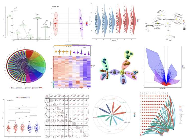 Protein Quantification demo