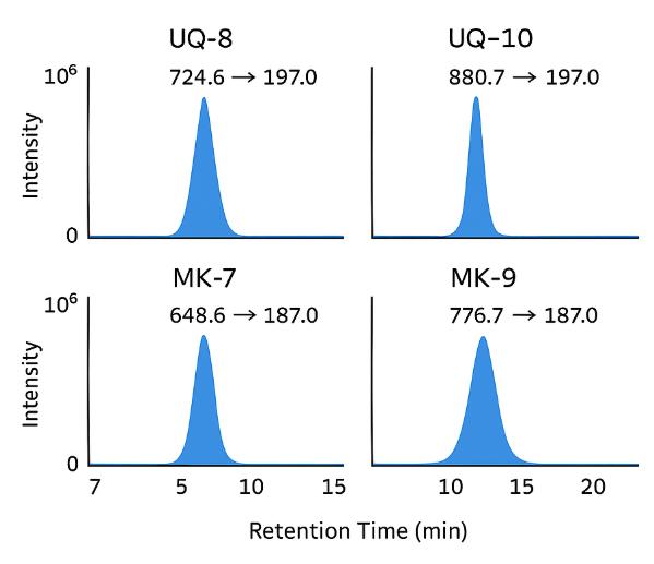 MRM peaks of UQ and MK analytes with labeled m/z transitions and retention times.