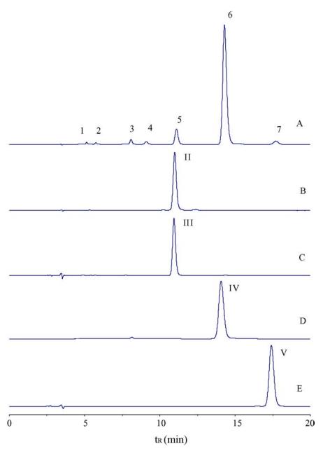 HPLC chromatograms showing separation of crude and purified salvianolic acids using a C18 column and acetonitrile–water mobile phase with TFA.