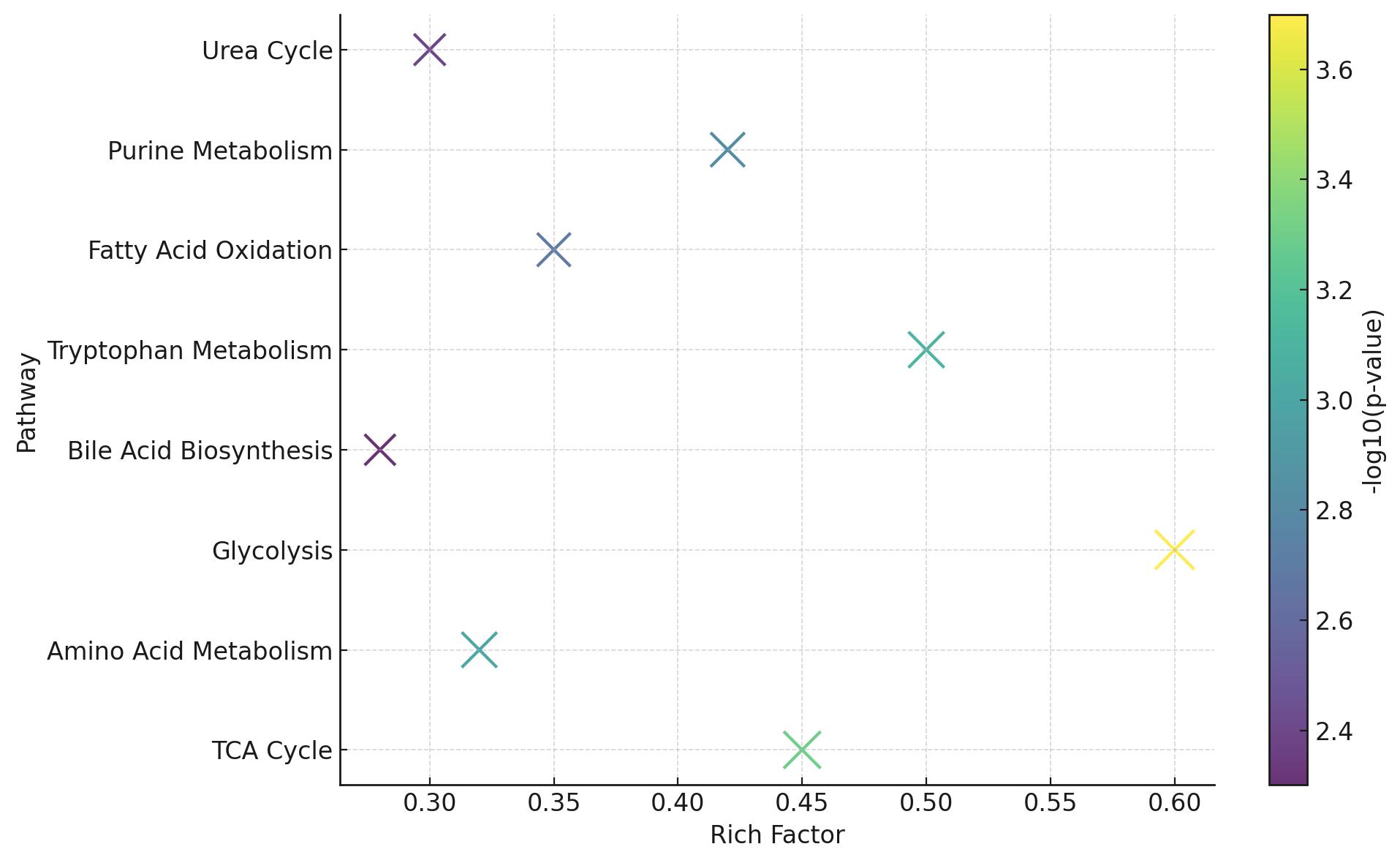 Bubble plot of enriched metabolic pathways in serum, sized by p-value significance and plotted by rich factor.
