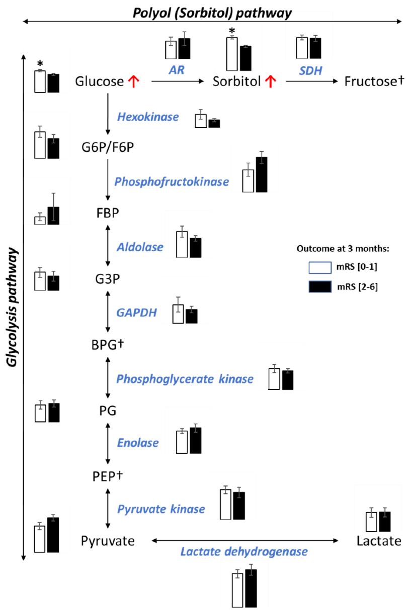 Metabolomic and proteomic analyses of the polyol (sorbitol) and glycolytic pathways of cerebral thrombi.