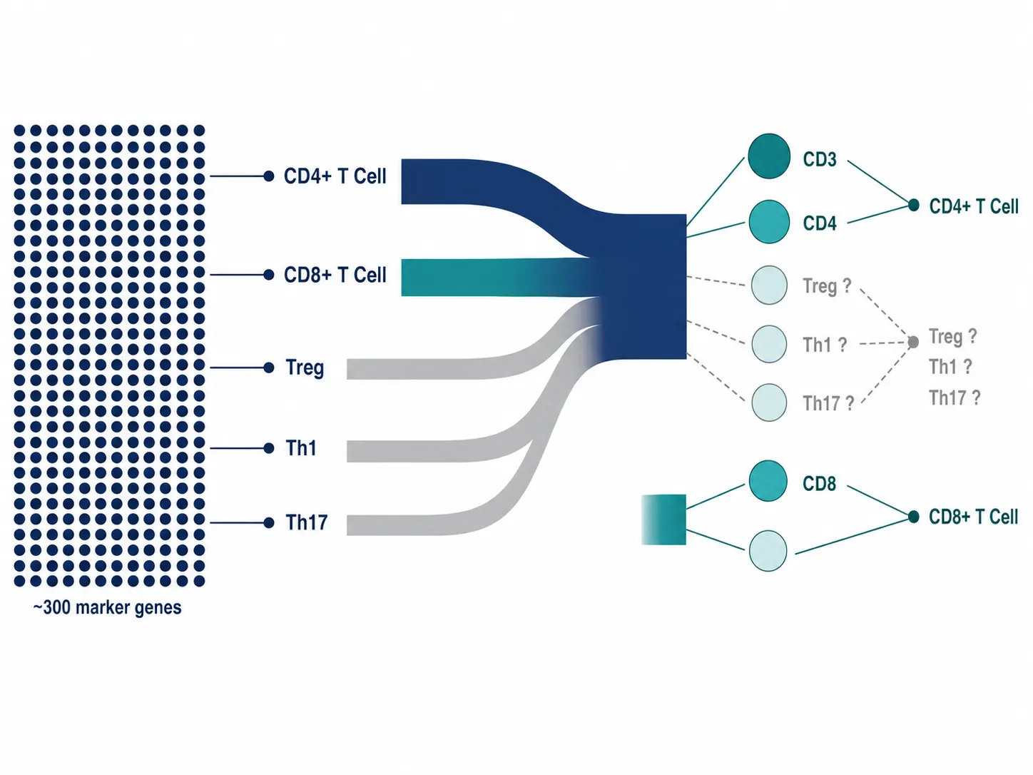 Figure 2: Marker gene set collapse — transcriptomics panel with 300+ marker genes per cell type vs. proteomics panel with 2–5 protein markers.