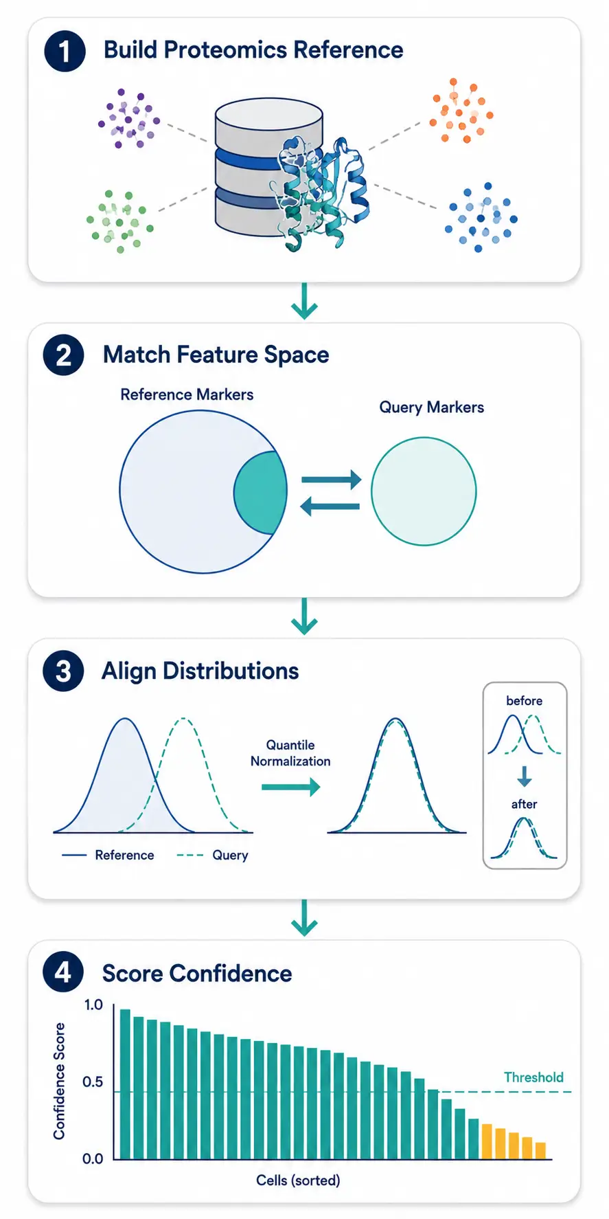 Figure 5: Reference-based label transfer workflow adapted for proteomics — building a proteomics reference to feature space matching to distribution alignment to confidence scoring.