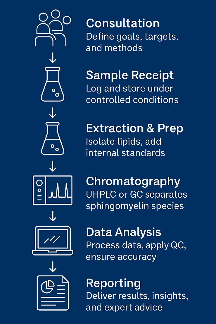 Sphingomyelin Analysis Workflow