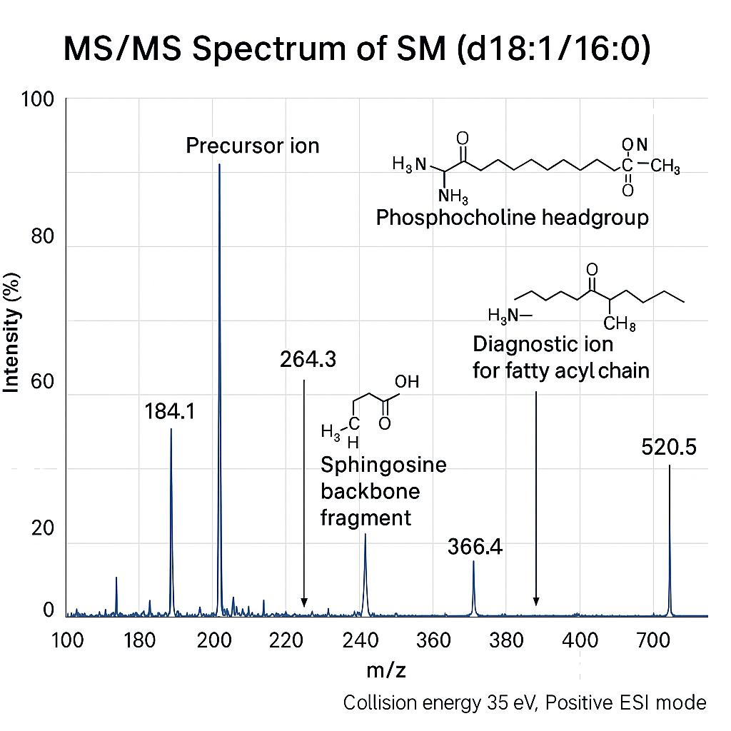 MS/MS spectrum of SM (d18:1/16:0) with precursor ion at m/z 703.6 and fragments at m/z 184.1, 264.3, 366.4, and 520.5.
