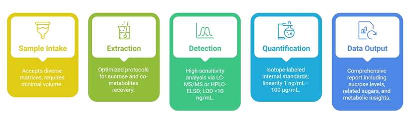 Sucrose Analysis Process