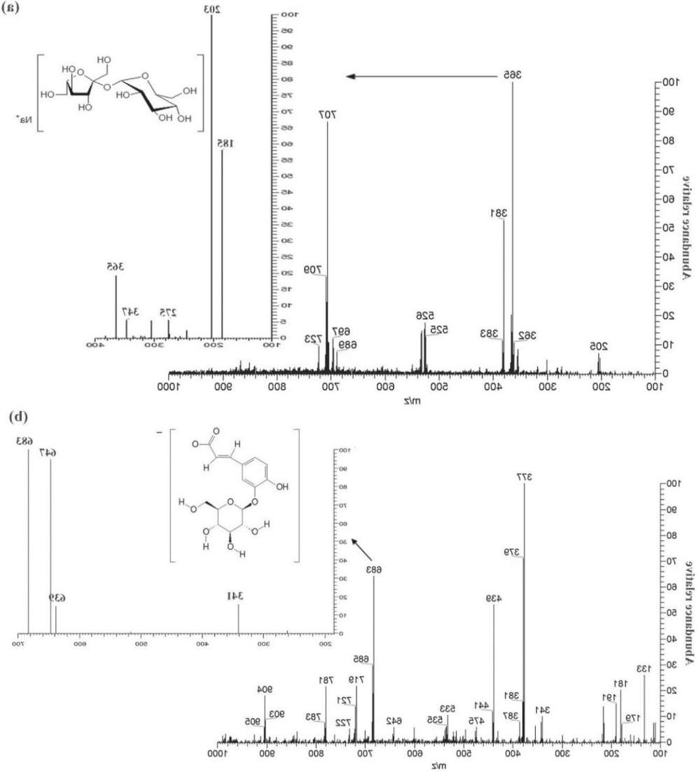 Representation of (a) sucrose (m/z 365) in PS(+)-MS and (b) caffeic acid hexoside dimer (m/z 683) in PS(-)-MS of cagaita ice cream sample