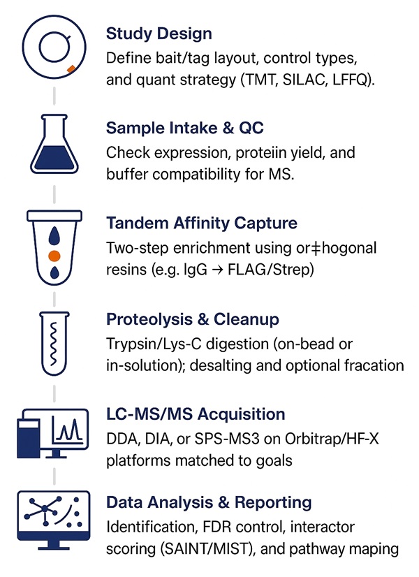TAP-MS Workflow