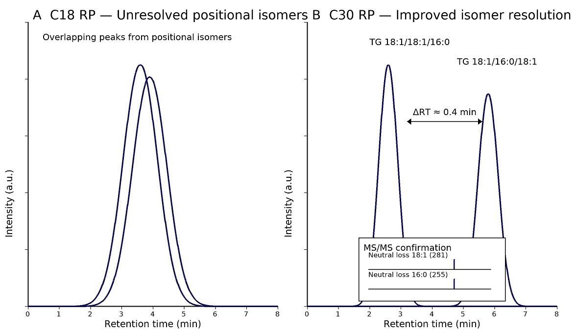 TG isomer chromatograms comparing C18 and C30 RP columns with MS/MS confirmation.