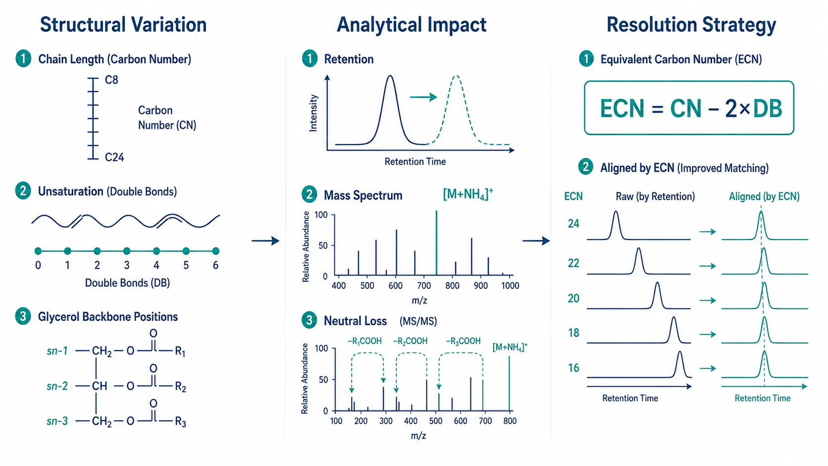Triglyceride Analysis: Analytical Strategies for Quantification, Characterization, and Lipid Metabolism Research