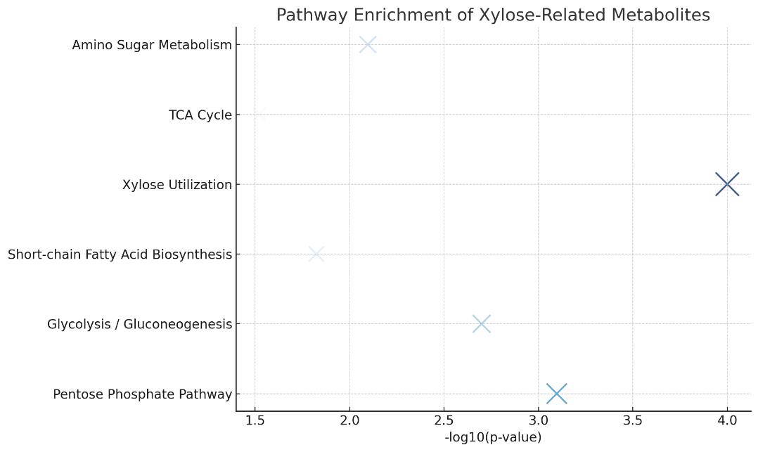 Bubble chart displaying enriched metabolic pathways such as pentose phosphate and glycolysis, ranked by statistical significance and impact score.