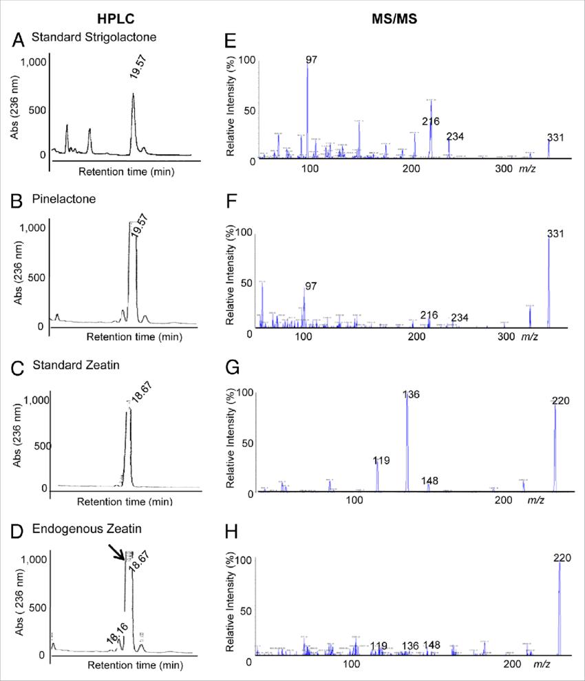 hPLc and Ms/Ms analysis of strigolactone and zeatin and natural homologous pinelactone and zeatin identified from root exudates