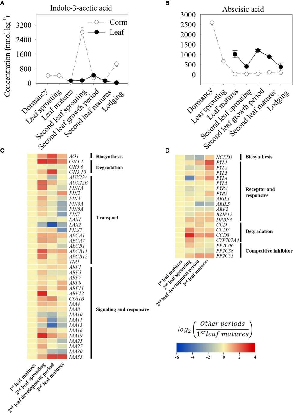 Trends of indole-3-acetic acid (IAA, A) and abscisic acid (ABA, B) content in growth cycle of A. muelleri.