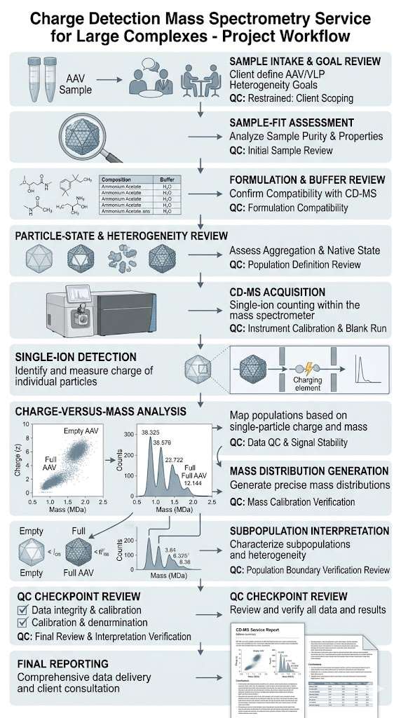 Vertical CD-MS workflow showing project intake, formulation review, single-ion measurement, and mass-distribution interpretation for large complexes.
