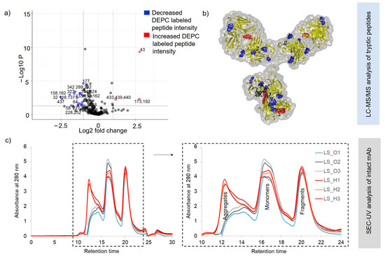 Published DEPC covalent-labelling mass spectrometry figure showing differential labeling sites and structure mapping in stressed monoclonal antibody samples