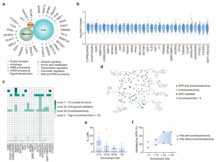 Data from PMC11785093 showing ASMS application in hit screening and deconvoluted hit mass spectra