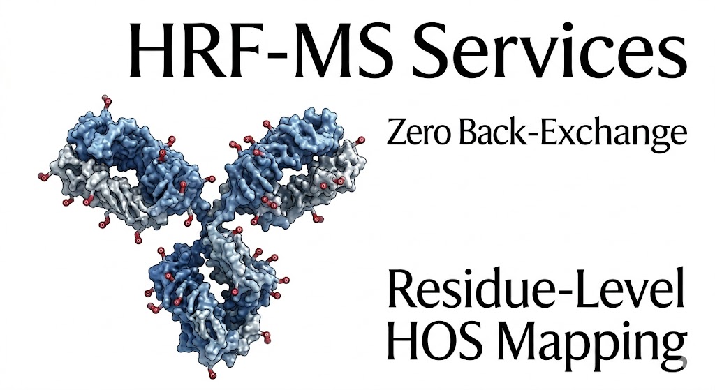 Hydroxyl Radical Footprinting (HRF-MS) Services