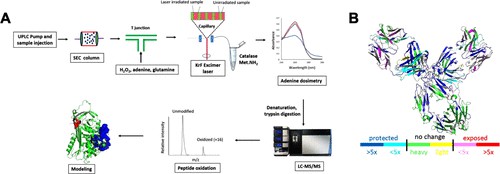 Residue-level oxidative profiles, 3D structural footprinting heatmaps, and quantitative HOS comparability data