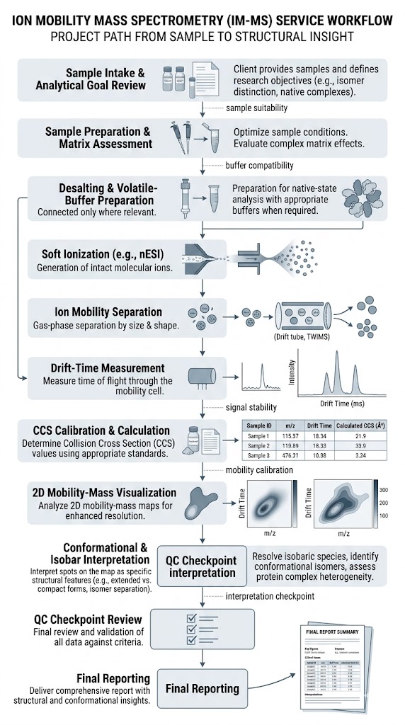 Vertical IM-MS workflow with sample preparation, mobility separation, CCS analysis, and structural reporting.