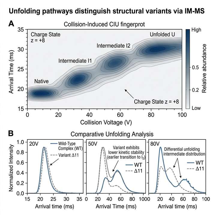 CIU contour plot showing unfolding fingerprints for protein stability comparison.