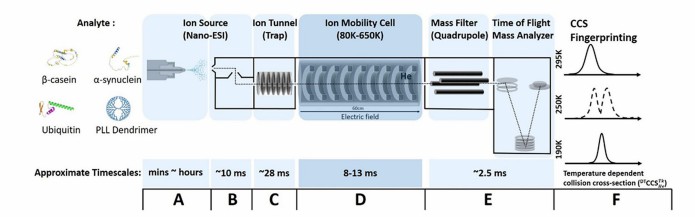 Variable-temperature IM-MS figure showing mobility-separated conformational states and temperature-dependent population shifts.
