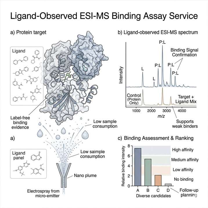 Ligand-observed ESI-MS service overview showing label-free binding evidence, low sample consumption, and follow-up planning.