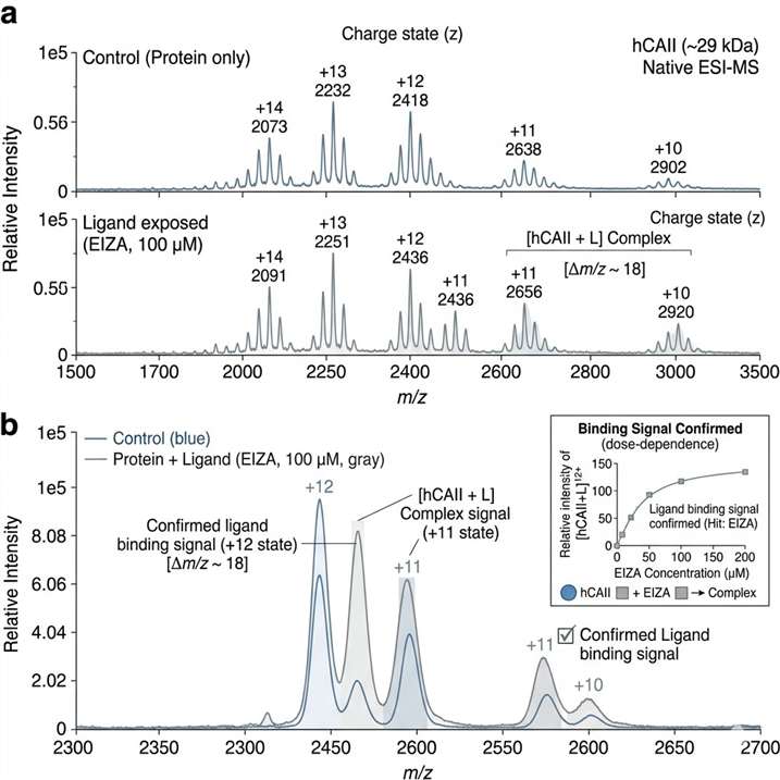 Ligand-observed ESI-MS result panel showing binding signal confirmation.