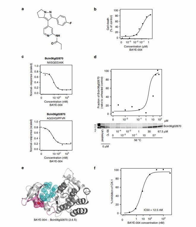 Machine learning-based target deconvolution using LiP-Quant