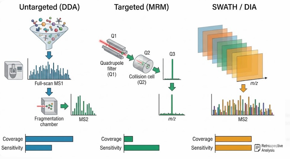 The Mobile Proton Model of collision-induced dissociation
