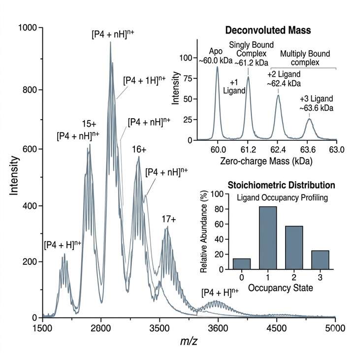 Annotated native ESI-MS spectrum showing stoichiometry and occupancy states.