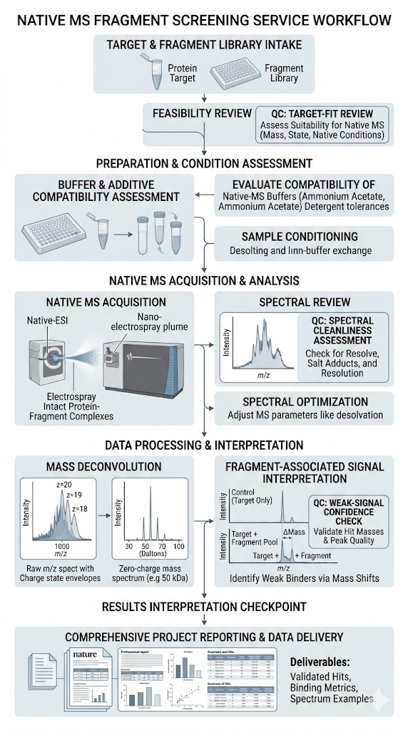 Vertical workflow for native MS fragment screening from feasibility review to acquisition, deconvolution, and reporting.
