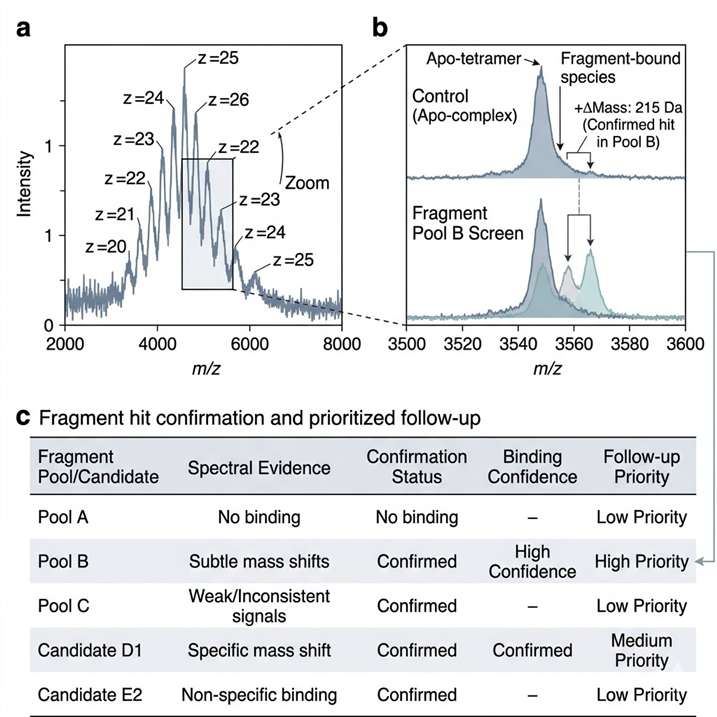 Ranked fragment screening summary with annotated spectrum snippets.