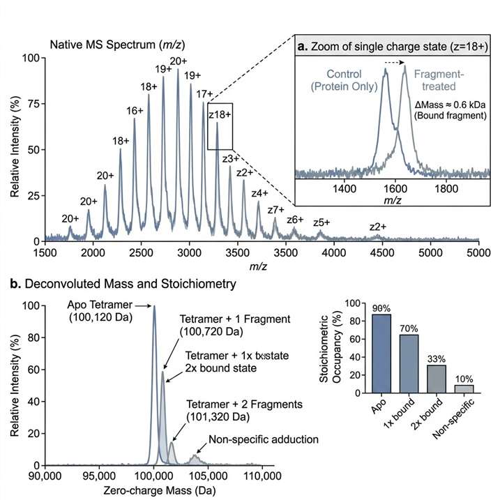 Native MS spectrum with deconvolution and fragment-associated mass shift annotation.