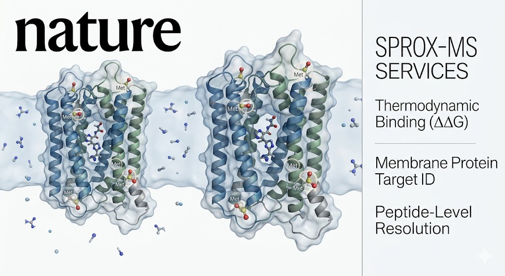 SPROX-MS Services: Thermodynamic Target Discovery