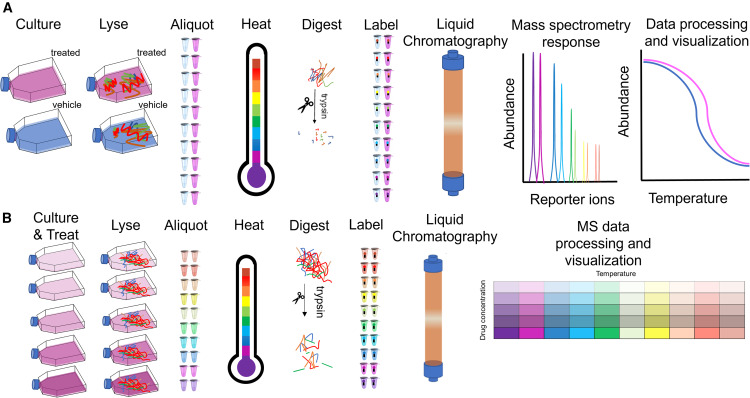 Advanced Thermal Proteome Profiling data analysis workflow