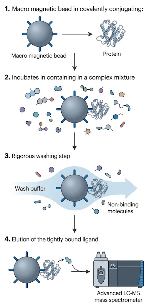 End-to-end target fishing workflow with rigorous wash and elution controls
