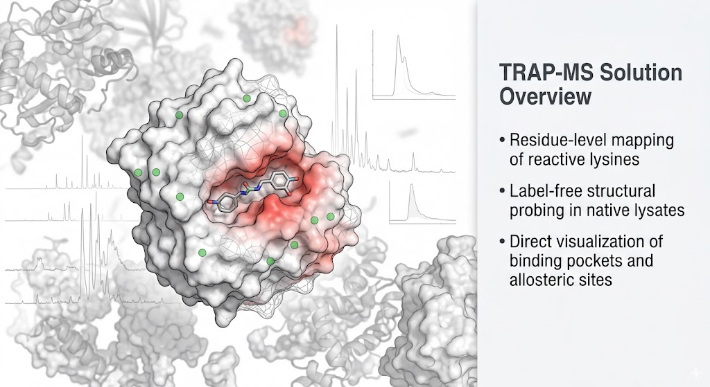 Target-Responsive Accessibility Profiling (TRAP) Services