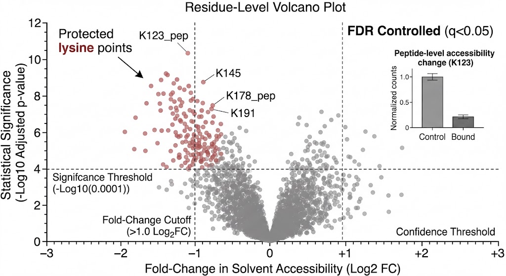 Residue-Level Volcano Plots displaying significant lysine protection