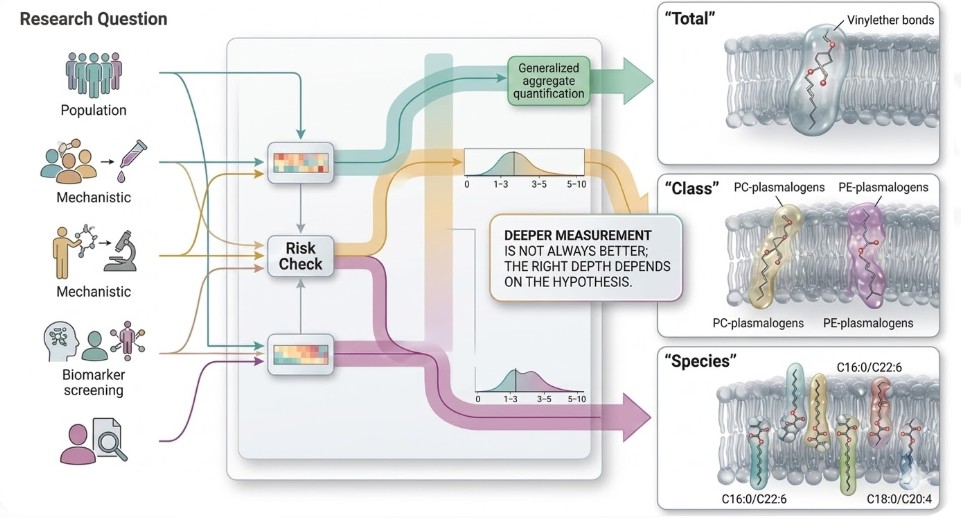 Plasmalogen Analysis Applications in Oxidative Stress, Membrane Biology, and Nutrition Research