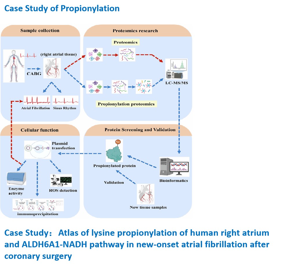 Propionylation case study