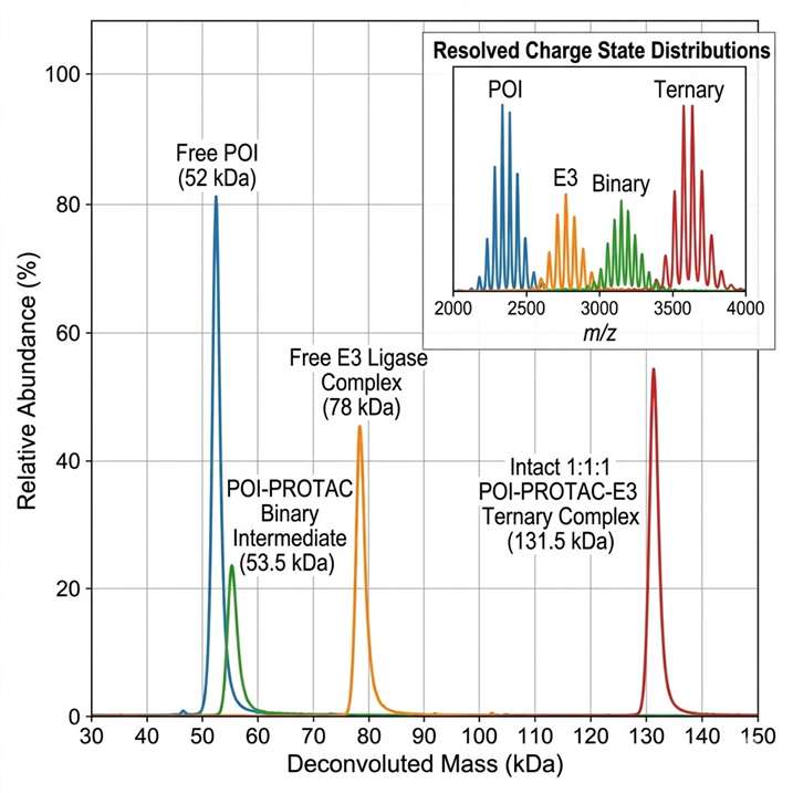 Native mass spectrometry spectrum showing intact ternary POI-PROTAC-E3 complex formation with deconvoluted masses for free POI at 52 kDa, free E3 ligase complex at 78 kDa, POI-PROTAC binary complex at 53.5 kDa, and intact ternary complex at 131.5 kDa.