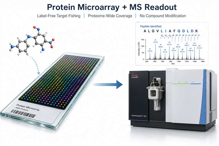 Protein microarray with MS readout workflow diagram showing compound incubation on protein array followed by LC-MS/MS identification.