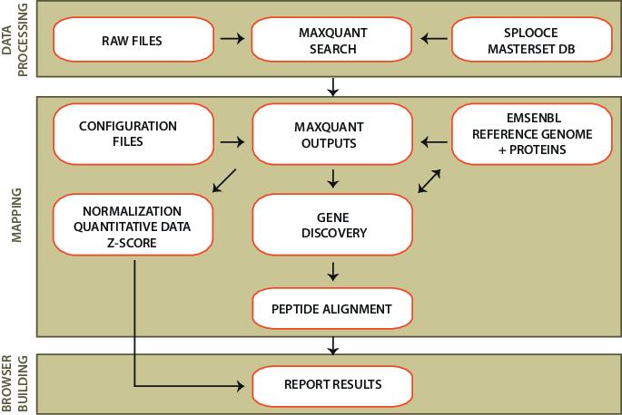 Protein Sequencing: Bioinformatics and Data Analysis