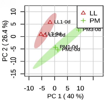 Proteomics Data: From Visualization to Functional Insights